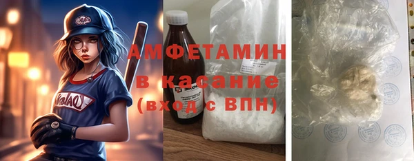 индика Алексеевка