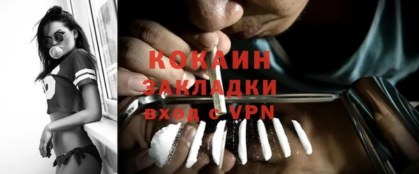 индика Алексеевка