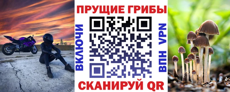 Купить закладки  Барабинск  Галлюциногенные грибы Psilocybine cubensis 